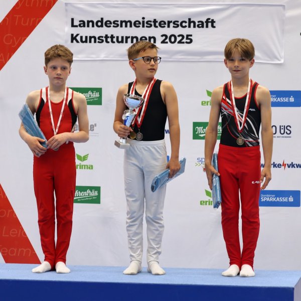 Kunstturn Landesmeisterschaften