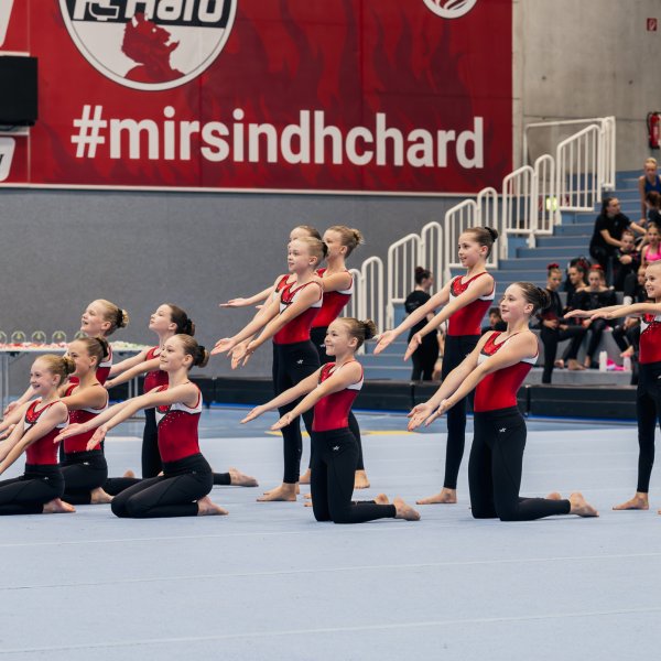 Landesmeisterschaft im Team-Turnen 2026