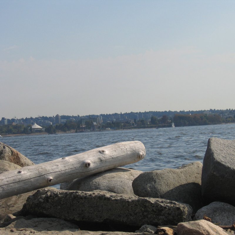 Das ist ein VORBERICHT