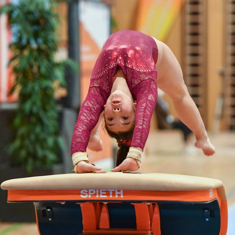 Bezirksturnfest Hofsteig 